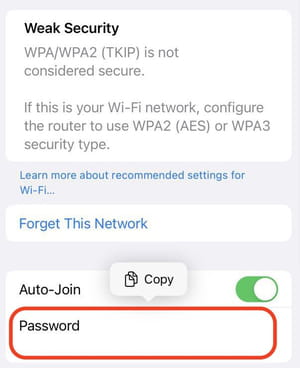 iPhone password share