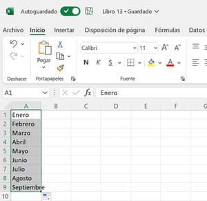 Crear listas o tablas de datos Excel