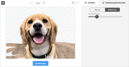 Cómo eliminar el fondo de una imagen