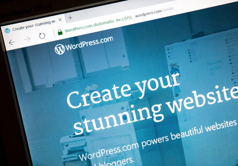 How to build a WordPress website: on your PC, from scratch