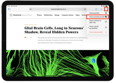 Navegar en modo privado en iPad