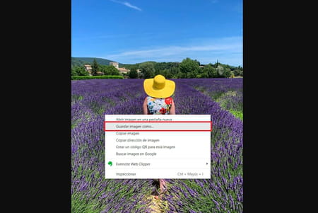 ¿Cómo descargar fotos de Instagram con Google Chrome?