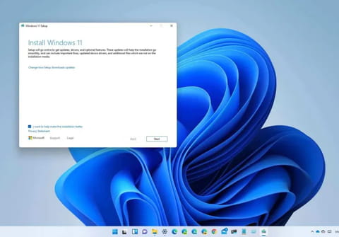 Windows 11&nbsp;update problem? Here's a simple fix for installation freezing!