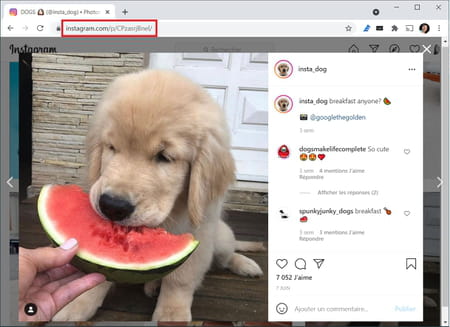 ¿Cómo descargar fotos de Instagram editando la URL?