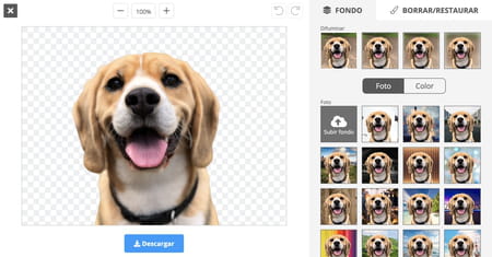 Cómo eliminar el fondo de una imagen