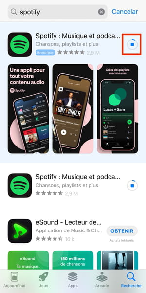 Cómo actualizar Spotify en iPhone