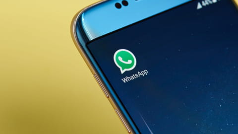 Exportar chats de WhatsApp: iPhone, Android, a PC, Excel...