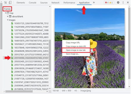 ¿Cómo descargar fotos de Instagram con Google Chrome?