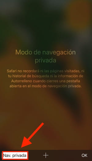 Navegar en modo privado en iPhone