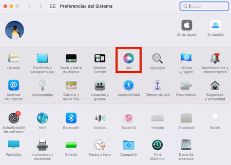 Cómo borrar el historial de búsqueda de Siri