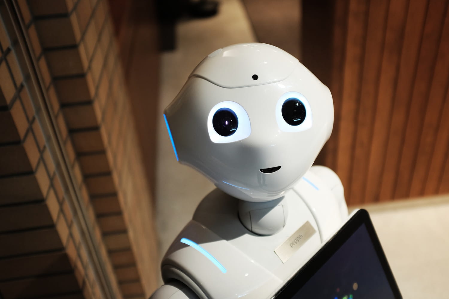 What are the future-proof skills and roles in tech and IT? - Vimarsana News