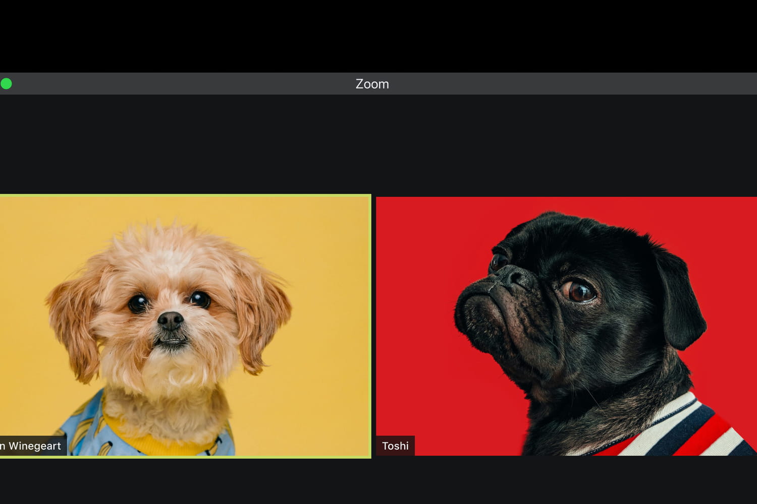 Funny Zoom Backgrounds