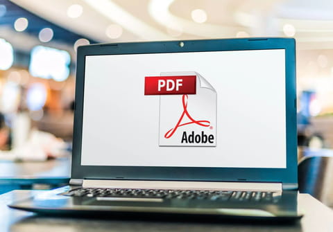 C&oacute;mo insertar una imagen en un PDF: gratis, editable, Mac...