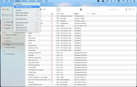 Cómo borrar canciones duplicadas en iTunes