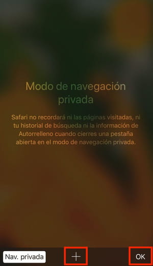 Navegar en modo privado en iPhone