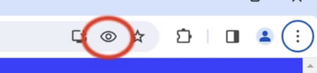 Google Chrome eye icon