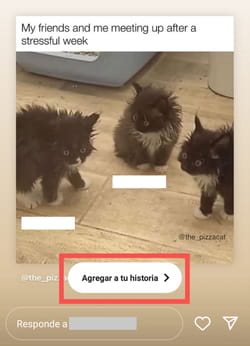 Cómo se comparte una historia de Instagram en tu historia