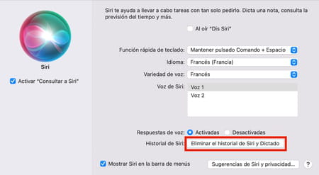 Cómo borrar el historial de búsqueda de Siri