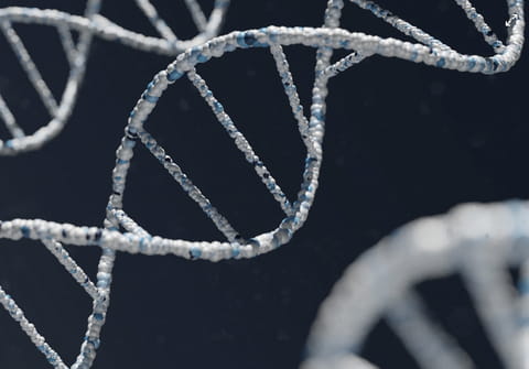 Genealogy tests and Genomic Sequencing: a comprehensive guide to DNA tests