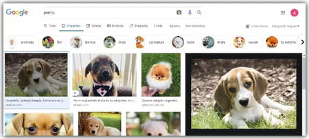 Cómo subir imágenes de Google a Facebook