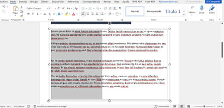 Seleccionar texto verticalmente en Word