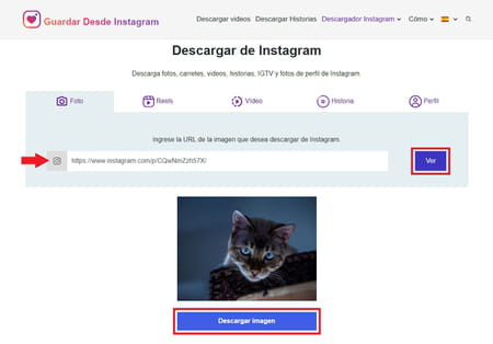 ¿Cómo descargar fotos de Instagram con herramientas online?